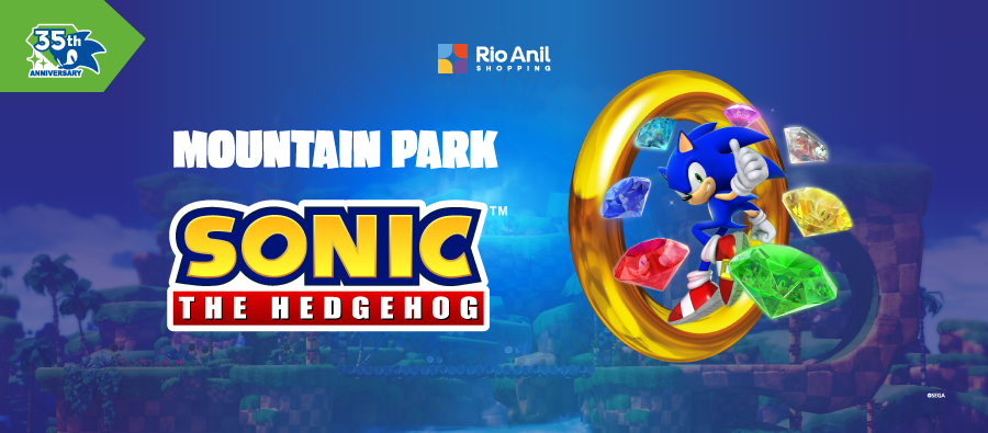 Sonic_Banner-Fique-Por-dentro-Desktop.png